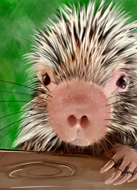 Rico the Porcupine Paint Event!