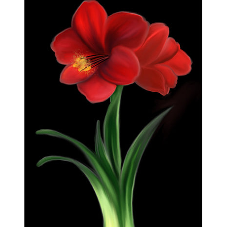 Canvas painting of red amaryllis against a black background. 